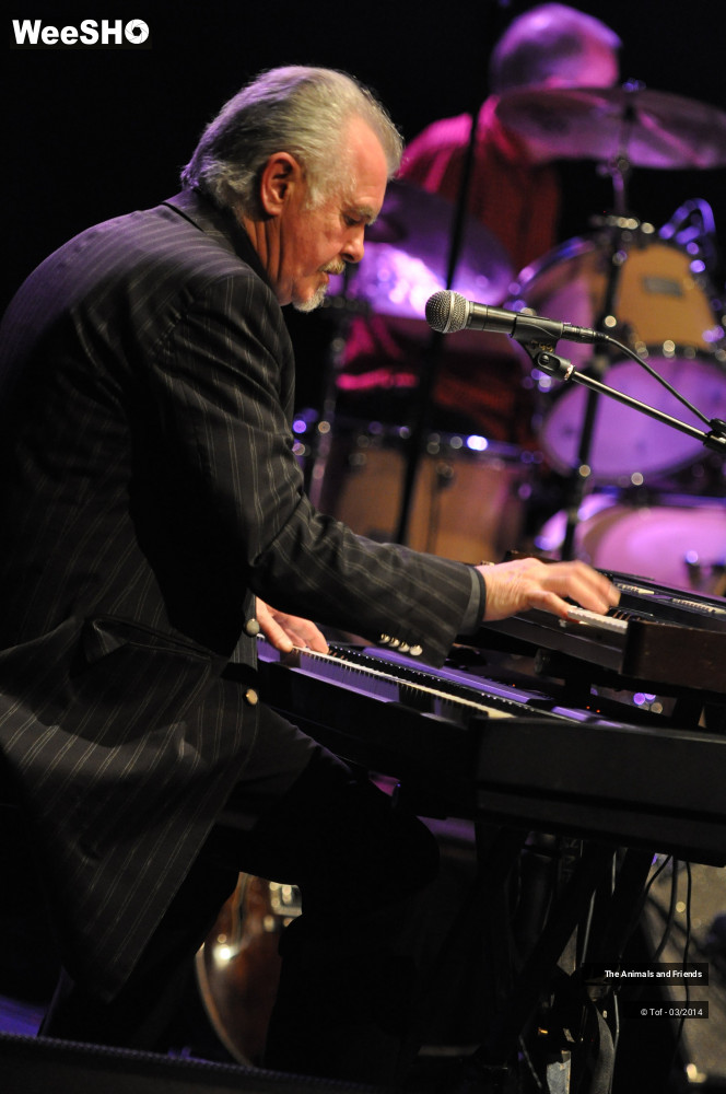 25/44 photos du spectacle The Animals and Friends