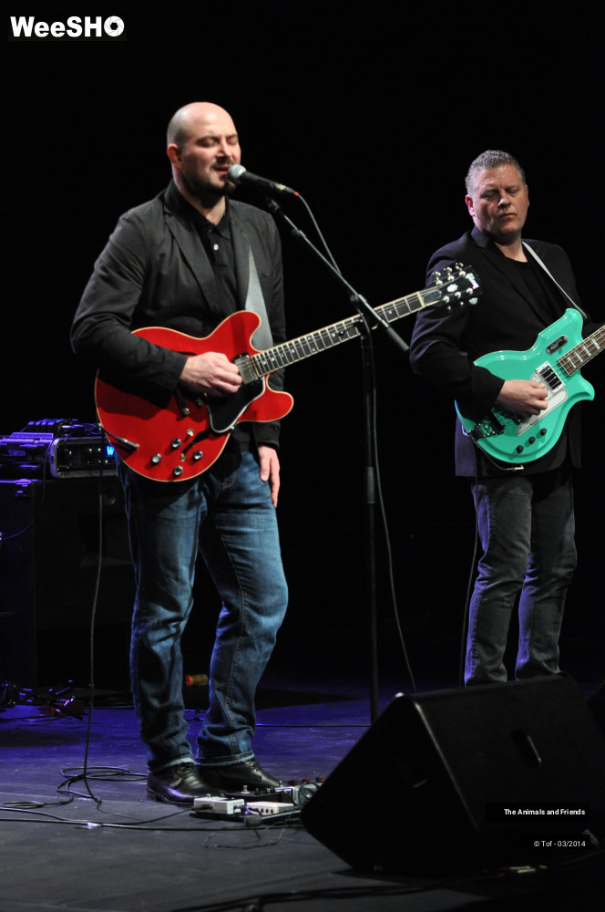 26/44 photos du spectacle The Animals and Friends