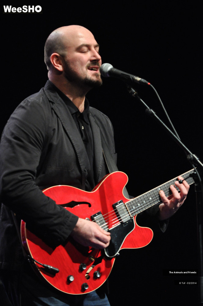 27/44 photos du spectacle The Animals and Friends