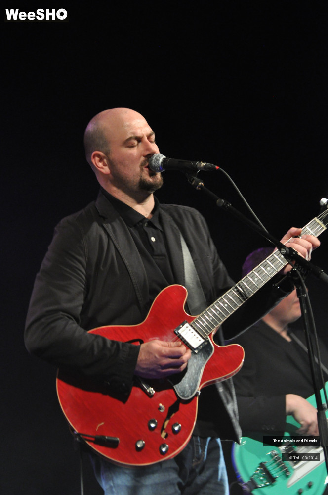 28/44 photos du spectacle The Animals and Friends