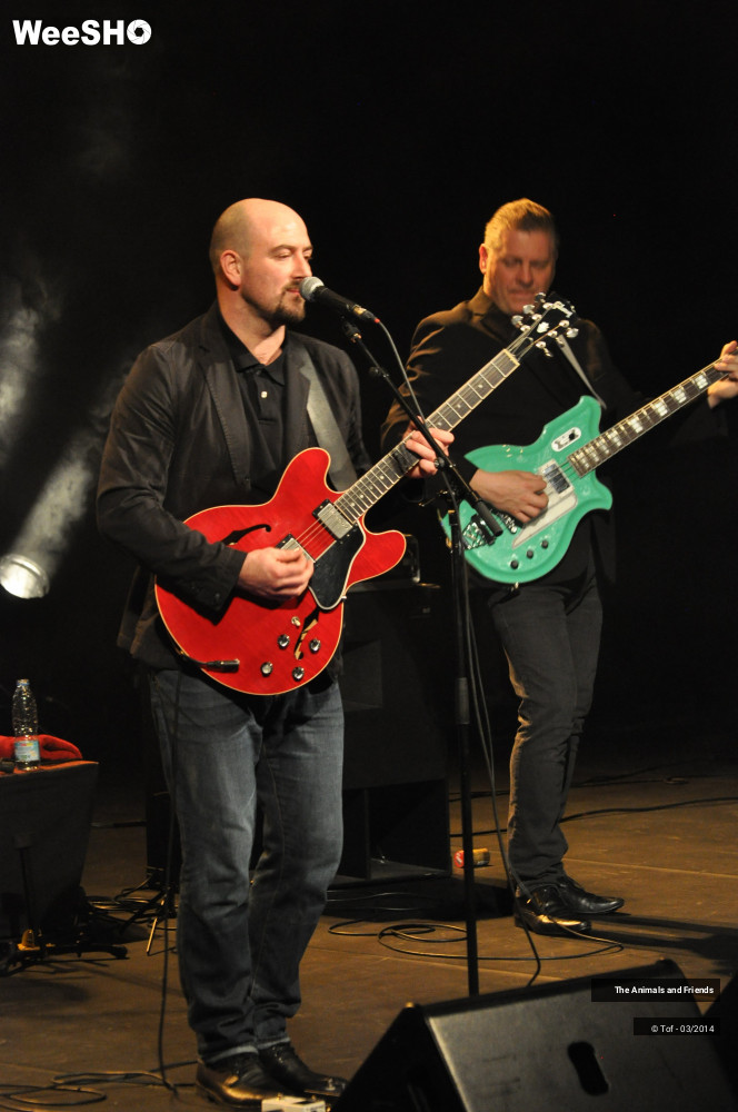 29/44 photos du spectacle The Animals and Friends