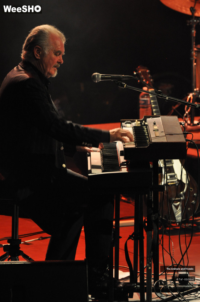 30/44 photos du spectacle The Animals and Friends