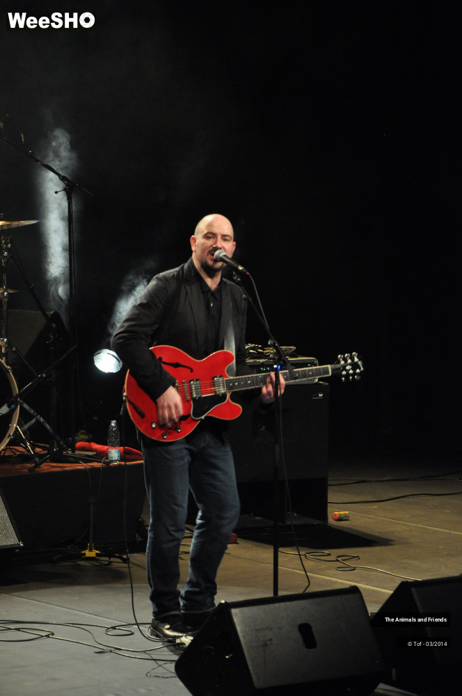 31/44 photos du spectacle The Animals and Friends