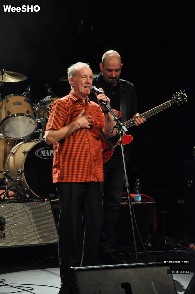 33/44 photos du spectacle The Animals and Friends