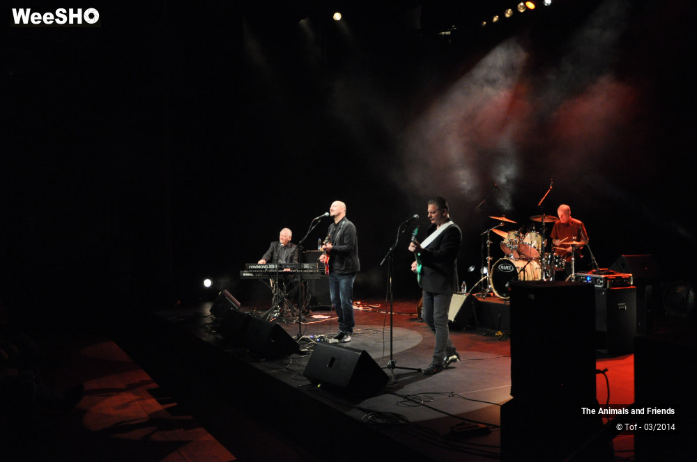 34/44 photos du spectacle The Animals and Friends
