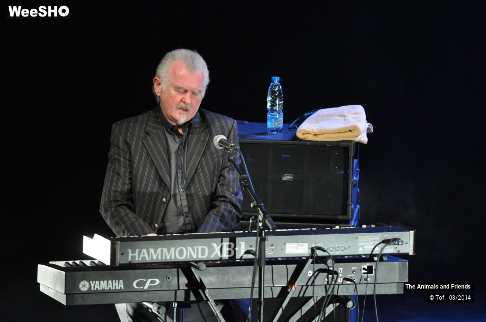 35/44 photos du spectacle The Animals and Friends