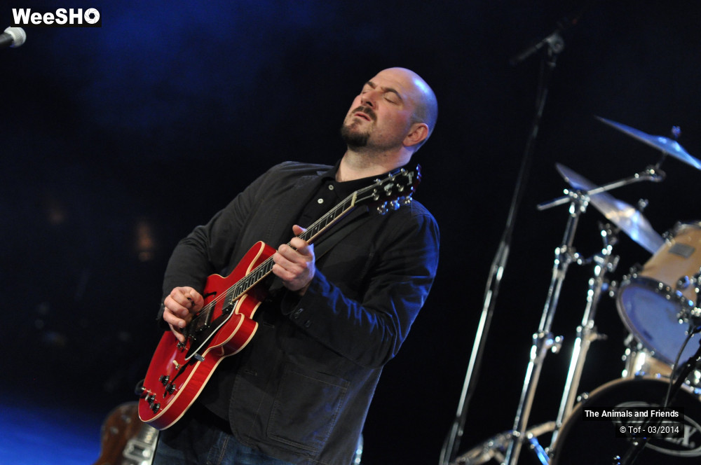 36/44 photos du spectacle The Animals and Friends