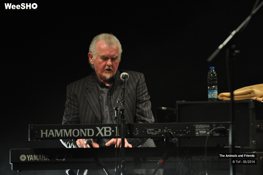 37/44 photos du spectacle The Animals and Friends