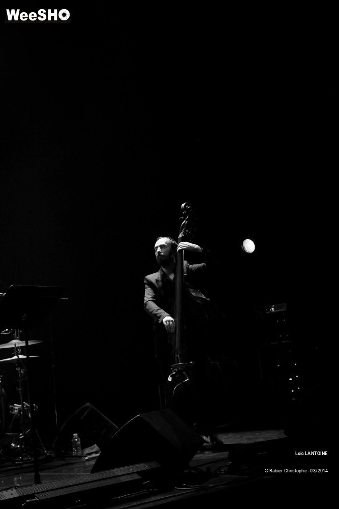 24/40 photos du spectacle Loic Lantoine