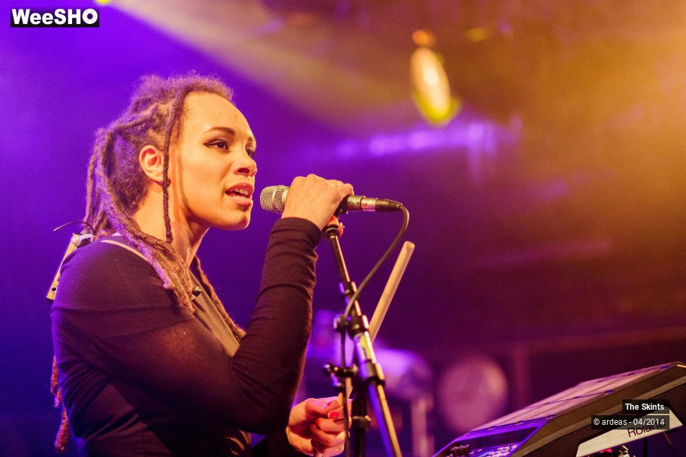 1/20 photos du spectacle The skints