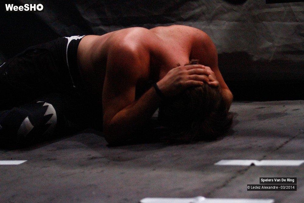25/29 photos du spectacle Combats de catch 