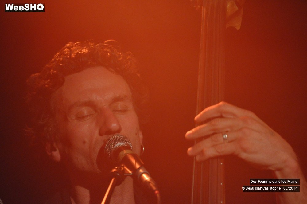 32/36 photos du spectacle Des Fourmis dans les Mains