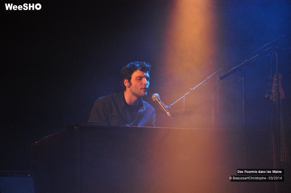 33/36 photos du spectacle Des Fourmis dans les Mains