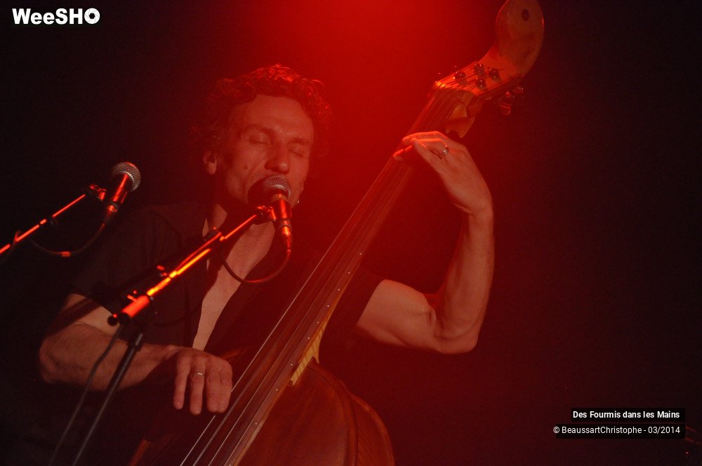 34/36 photos du spectacle Des Fourmis dans les Mains