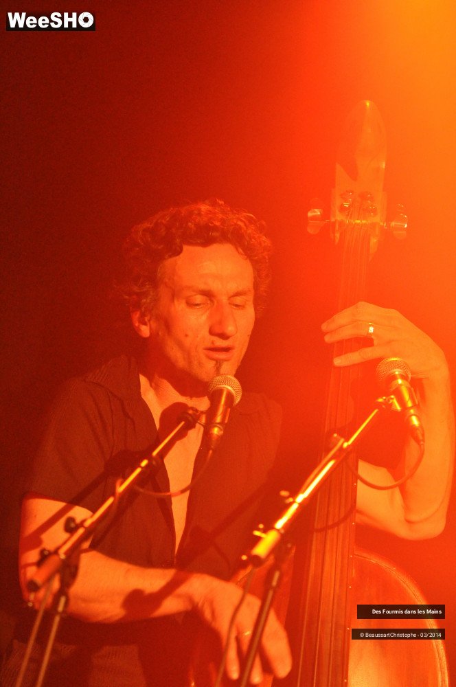 35/36 photos du spectacle Des Fourmis dans les Mains