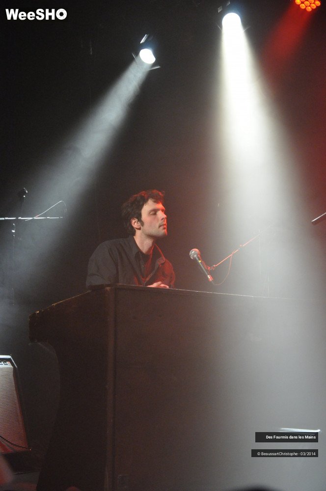 36/36 photos du spectacle Des Fourmis dans les Mains