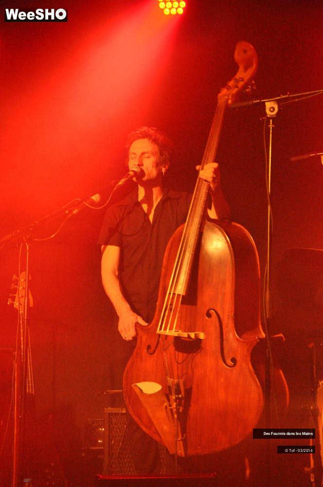 1/36 photos du spectacle Des Fourmis dans les Mains