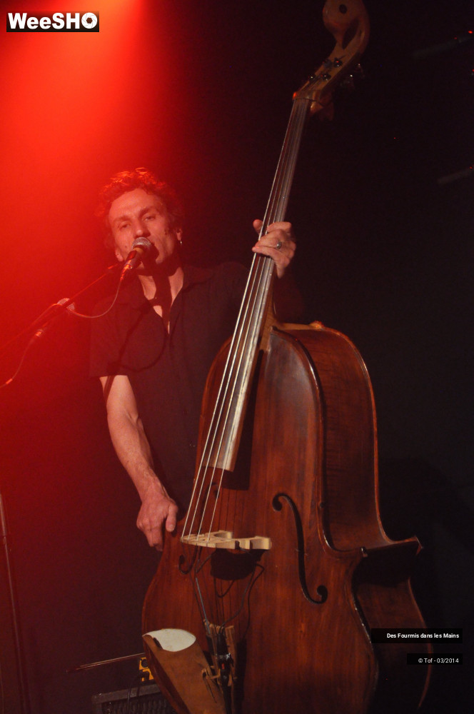 4/36 photos du spectacle Des Fourmis dans les Mains