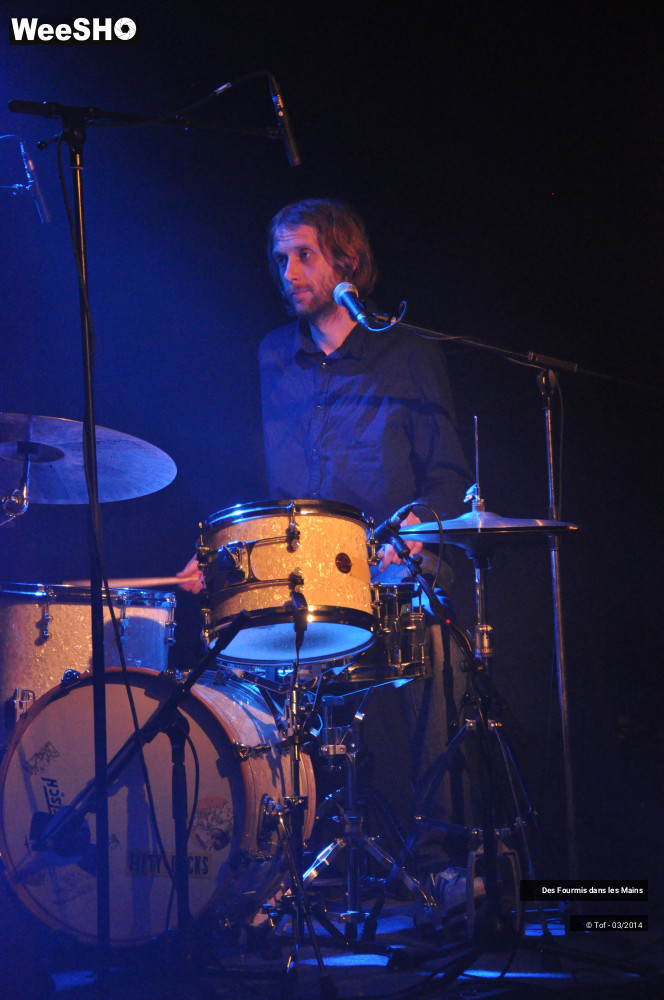 5/36 photos du spectacle Des Fourmis dans les Mains