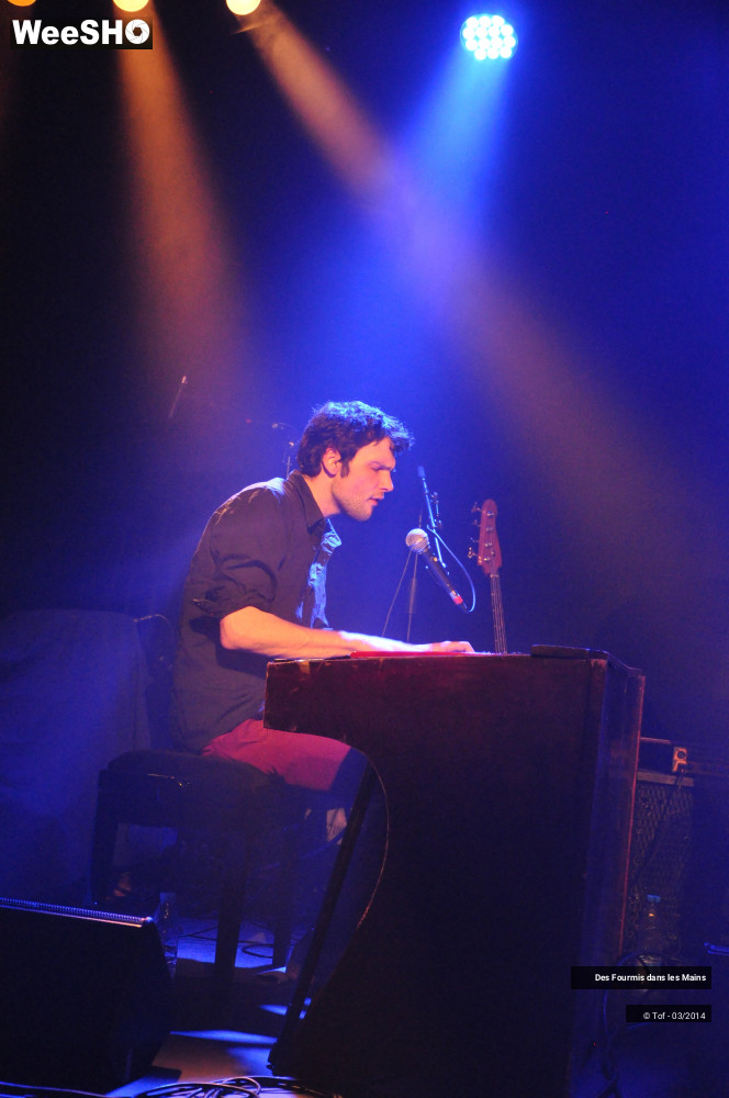 6/36 photos du spectacle Des Fourmis dans les Mains