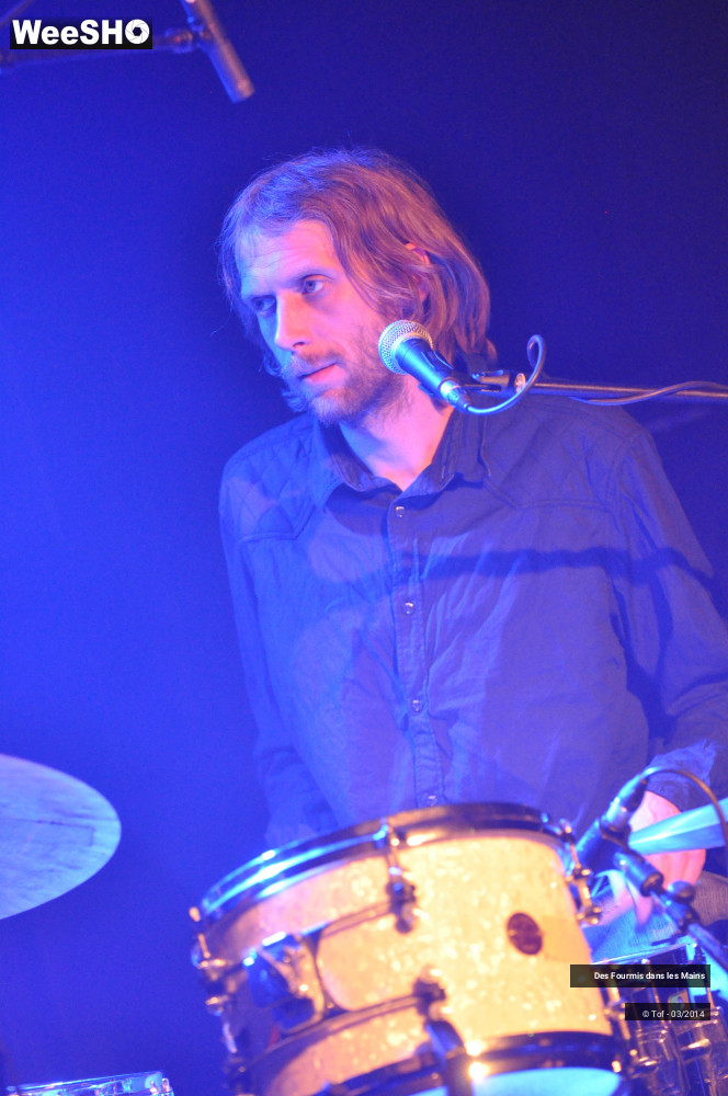 7/36 photos du spectacle Des Fourmis dans les Mains