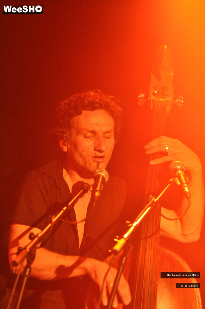 9/36 photos du spectacle Des Fourmis dans les Mains