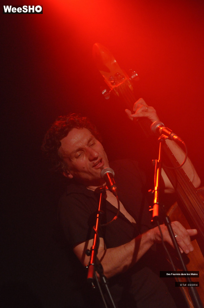 11/36 photos du spectacle Des Fourmis dans les Mains