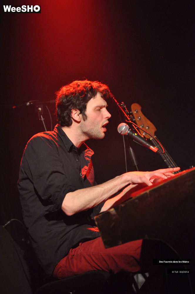 12/36 photos du spectacle Des Fourmis dans les Mains