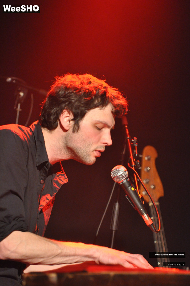 13/36 photos du spectacle Des Fourmis dans les Mains