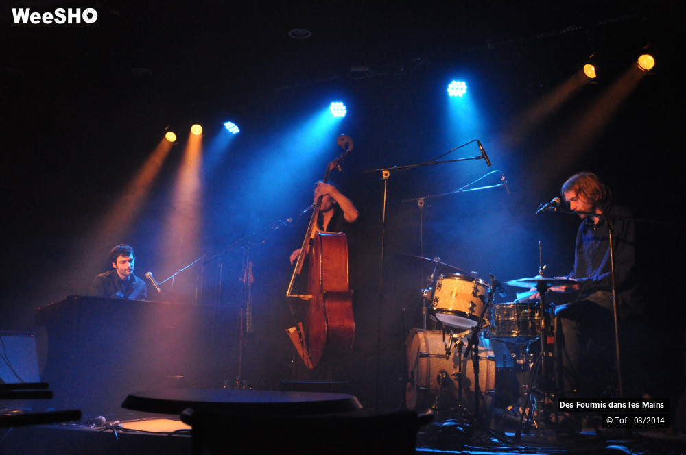 14/36 photos du spectacle Des Fourmis dans les Mains