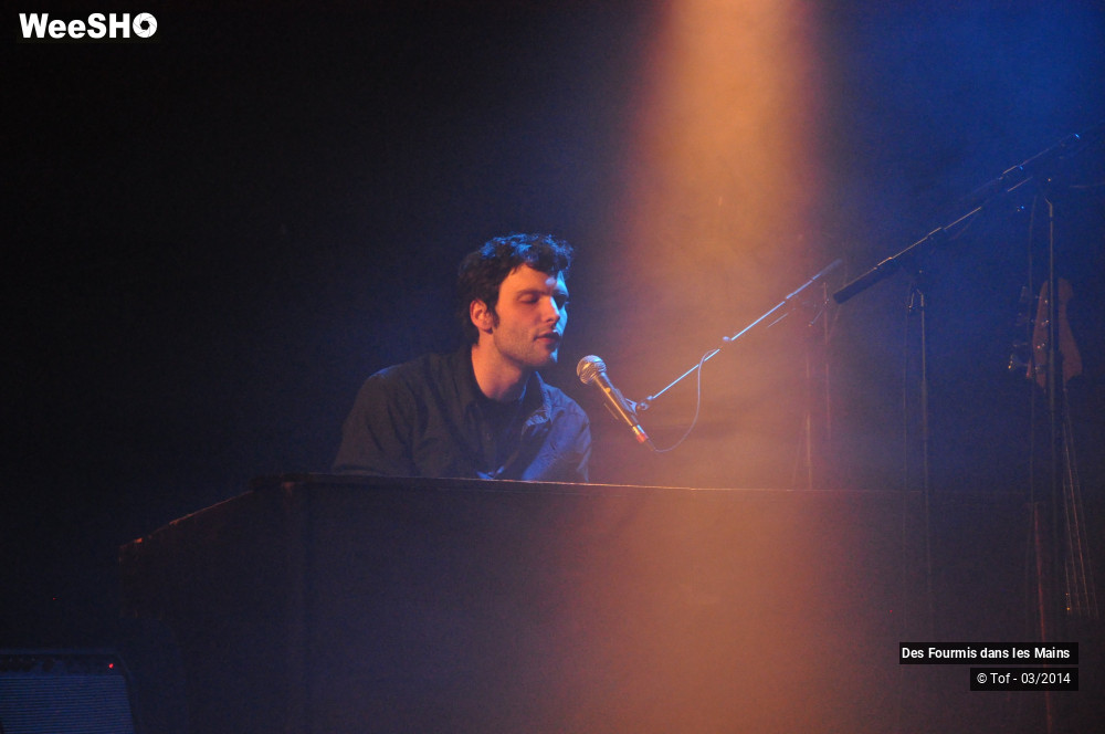 15/36 photos du spectacle Des Fourmis dans les Mains