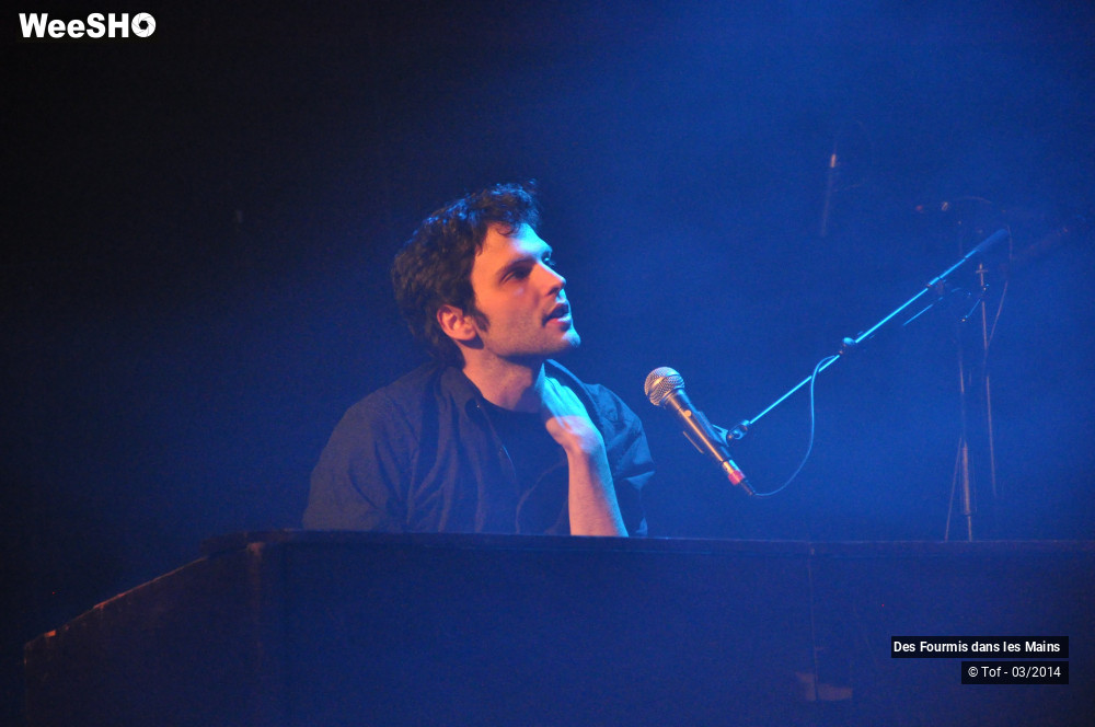 16/36 photos du spectacle Des Fourmis dans les Mains