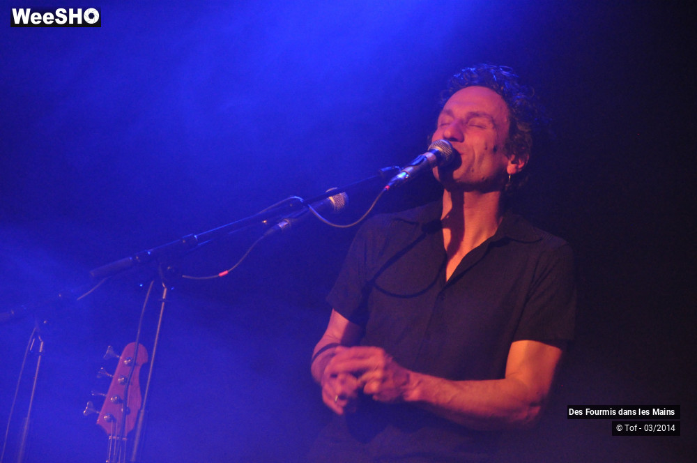 17/36 photos du spectacle Des Fourmis dans les Mains