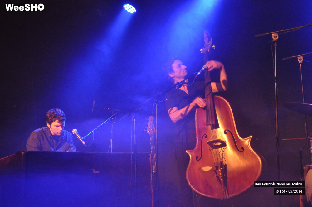 18/36 photos du spectacle Des Fourmis dans les Mains
