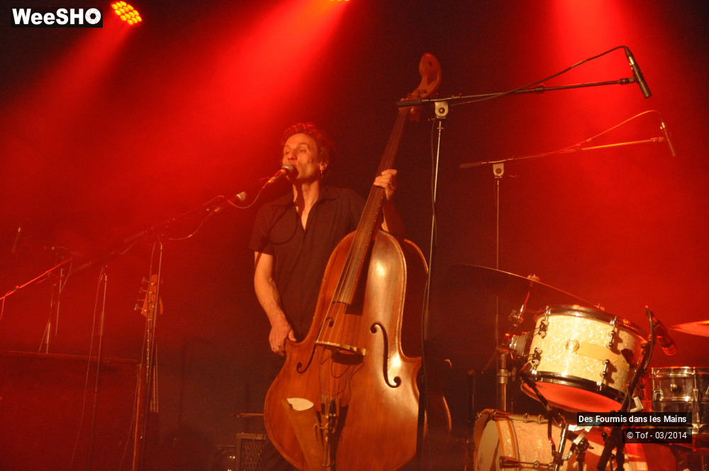 19/36 photos du spectacle Des Fourmis dans les Mains