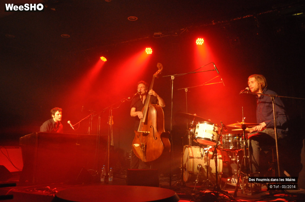 20/36 photos du spectacle Des Fourmis dans les Mains