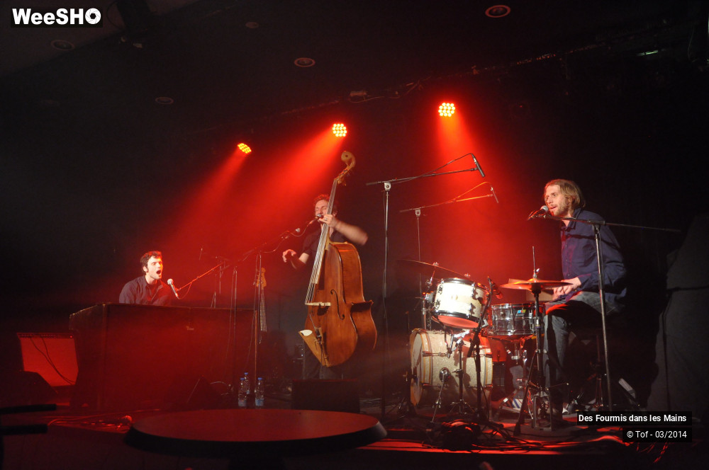 21/36 photos du spectacle Des Fourmis dans les Mains