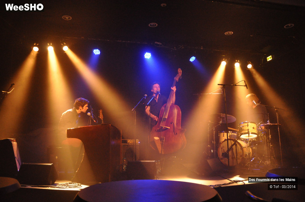 23/36 photos du spectacle Des Fourmis dans les Mains