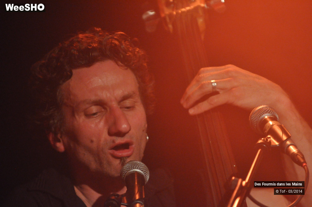 25/36 photos du spectacle Des Fourmis dans les Mains