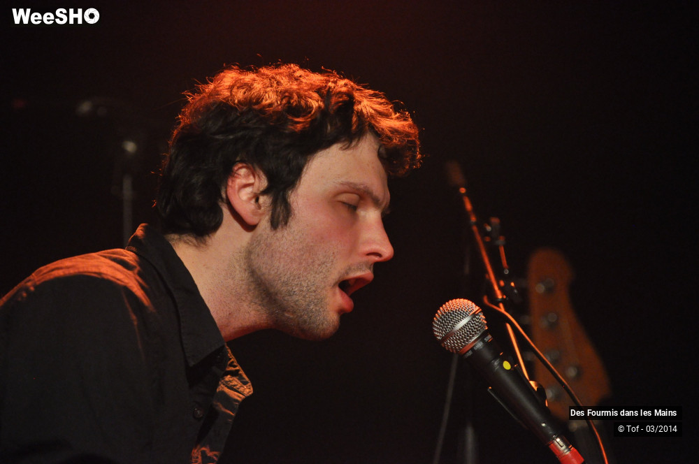 26/36 photos du spectacle Des Fourmis dans les Mains