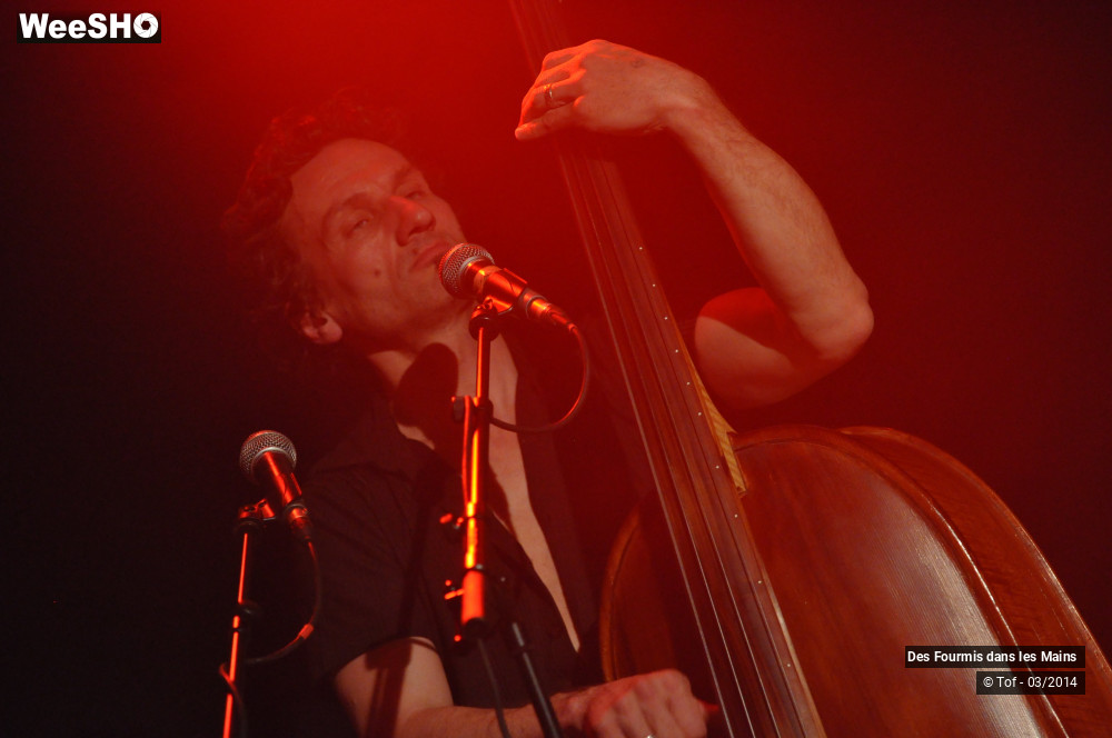 27/36 photos du spectacle Des Fourmis dans les Mains