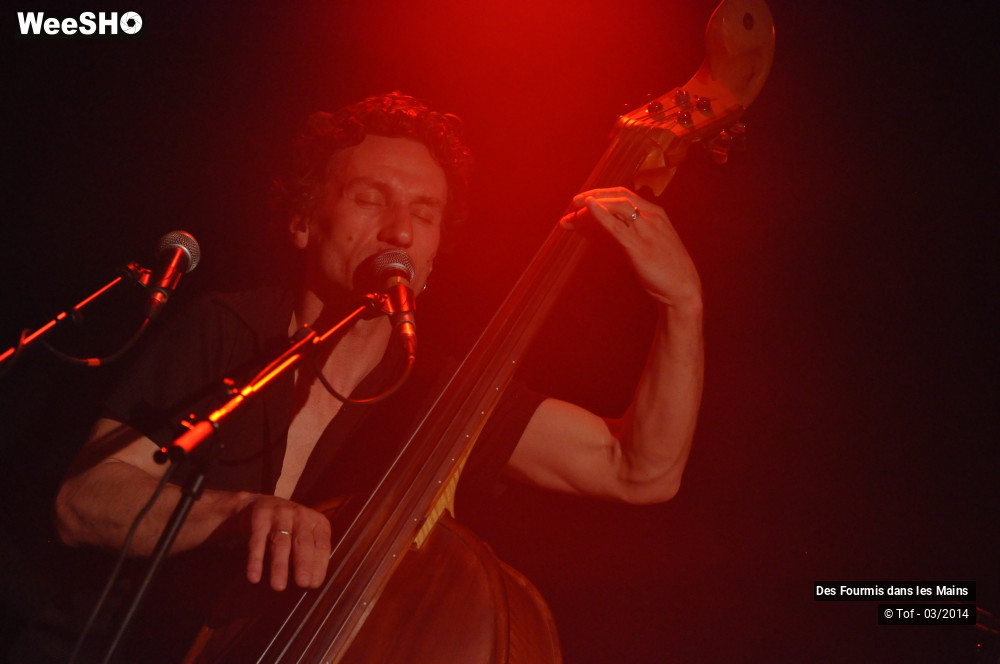 28/36 photos du spectacle Des Fourmis dans les Mains