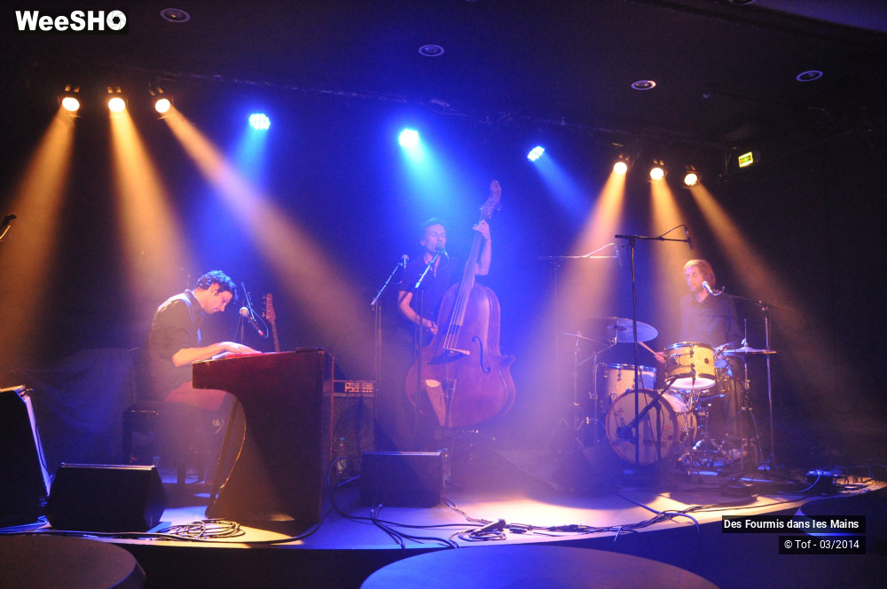 29/36 photos du spectacle Des Fourmis dans les Mains