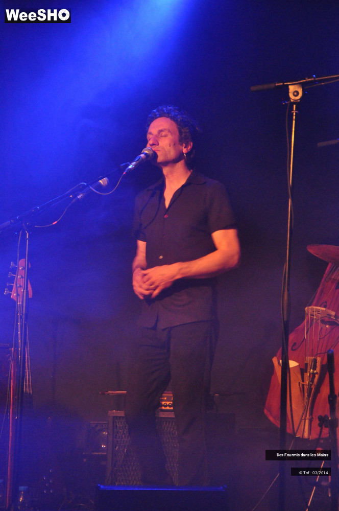 30/36 photos du spectacle Des Fourmis dans les Mains