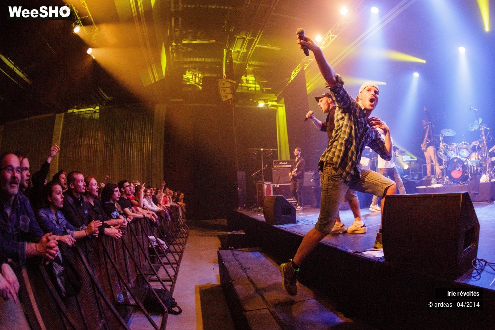 1/39 photos du spectacle Irie révoltés