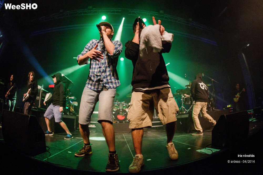 2/39 photos du spectacle Irie révoltés