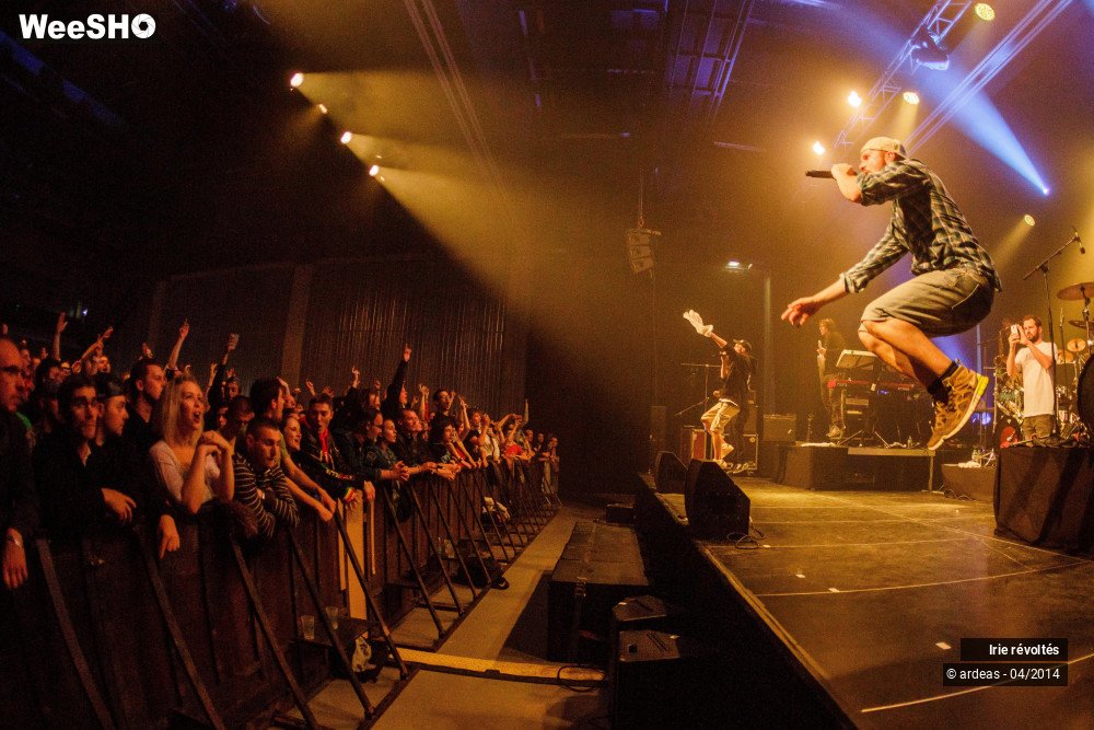 4/39 photos du spectacle Irie révoltés