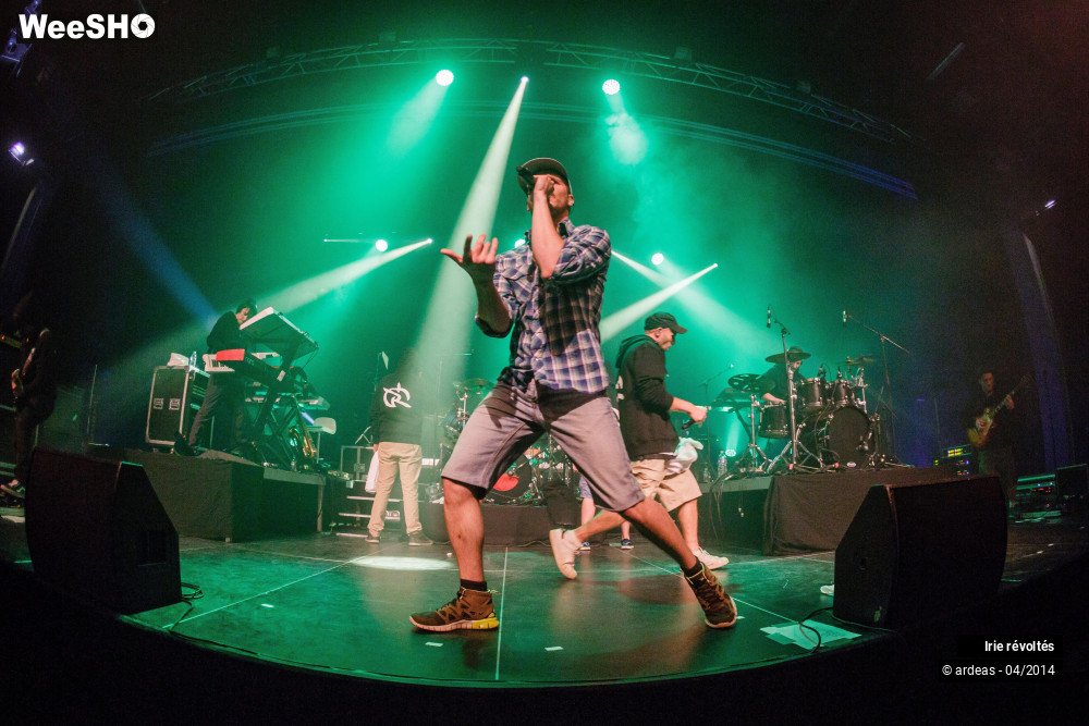 5/39 photos du spectacle Irie révoltés