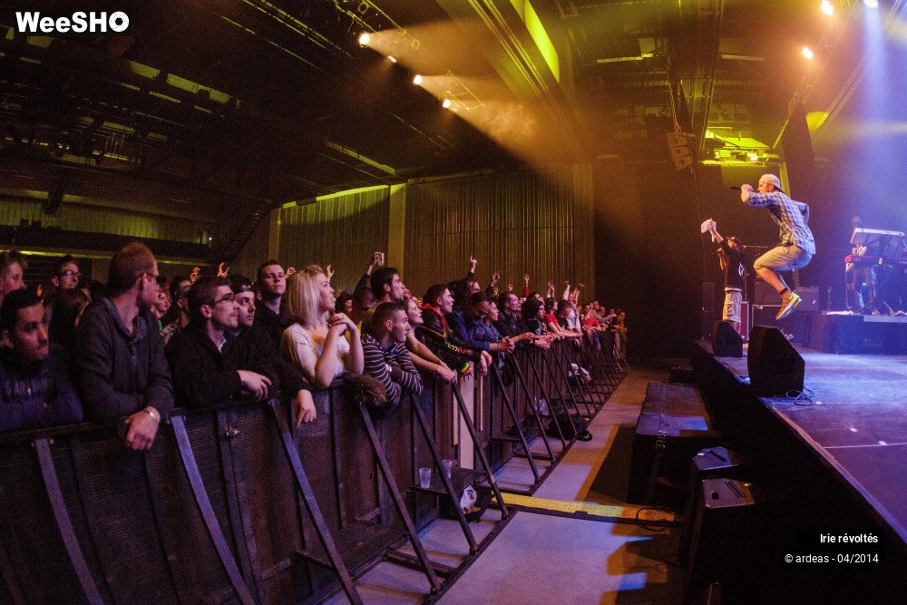 8/39 photos du spectacle Irie révoltés