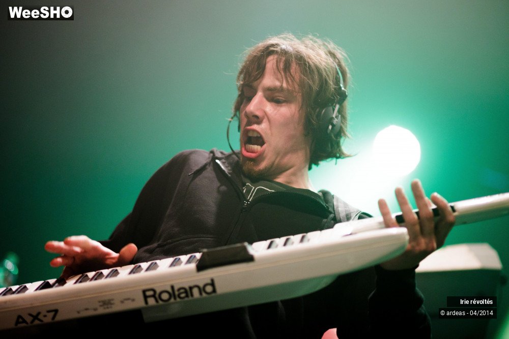 12/39 photos du spectacle Irie révoltés